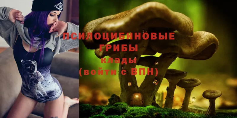 купить наркотики сайты  сайты даркнета как зайти  Псилоцибиновые грибы Psilocybe  Алексин 